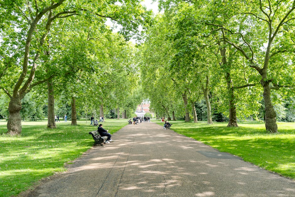 A shaded pathway in a park lined with large, leafy green trees on both sides, with a well-maintained gravel surface and several black park benches along the edges. The benches are occupied by people sitting and enjoying the outdoor setting. The grass surrounding the pathway is lush and green, with dappled sunlight filtering through the tree canopy above. In the background, other visitors can be seen walking or cycling, creating a calm and inviting atmosphere for outdoor leisure activities. The scene emphasizes natural greenery and clean, orderly surroundings typical of a well-maintained public park. Kensington Carpet Cleaning's website emphasizes surface cleaning and maintenance, and this vibrant park image reflects the importance of hygiene and cleanliness in outdoor and communal spaces near South Kensington station, KENSINGTON.